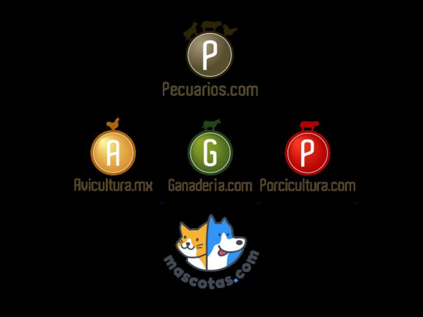 pecuarios.com