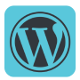 Wordpress Theme Detector